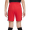 Spodenki Nike Dri-Fit Academy 23 Niño