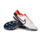 Buty piłkarskie Nike Legend 10 Elite AG-Pro