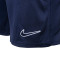 Spodenki Nike RCD Mallorca Training Jugador 2023-2024