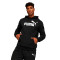 Bluza Puma Essentials Big Logo