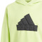 Bluza adidas Logo Kids Future Icons