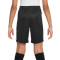 Spodenki Nike Dri-Fit Academy 23 Niño