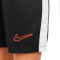 Spodenki Nike Dri-Fit Academy 23 Niño