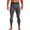 Podspodenki Under Armour HeatGear Carbon
