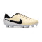 Buty piłkarskie Nike Tiempo Legend 10 Academy FG/MG Niño