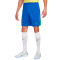 Spodenki Nike Brasil Ameryka Cup 2024 Strona główna