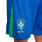 Spodenki Nike Brasil Ameryka Cup 2024 Strona główna