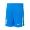 Spodenki Nike Brasil Ameryka Cup 2024 Strona główna