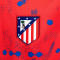 Koszulka Nike Atlético de Madrid dla Kids , Trening 2024-2025