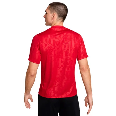 Koszulka Liverpool FC Pre-Match 2024-2025