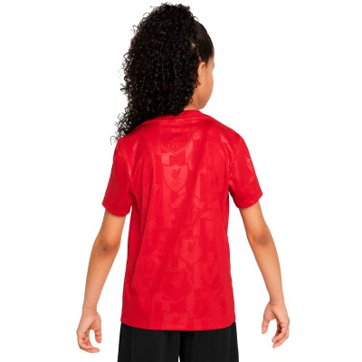Koszulka Liverpool FC Pre-Match 2024-2025 Niño