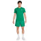 Koszulka Nike Sportswear Club