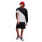 Spodenki Jordan Brooklyn Fleece