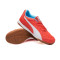 Buty futsalu Puma Naciśnięcie IV