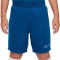 Spodenki Nike Dri-Fit Academy 23 Niño