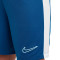 Spodenki Nike Dri-Fit Academy 23 Niño