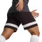 Spodenki Puma Individual Rise