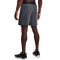 Spodenki Under Armour Vanish