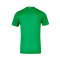 Koszulka Castore Irlandia 2024-2025 Strona główna