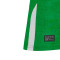 Koszulka Castore Irlandia 2024-2025 Strona główna
