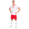Koszulka Nike Polonia Primera Equipación Eurocopa 2024
