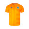 Koszulka New Balance FC Porto Pre-Match 2024-2025