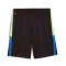 Spodenki Puma Individualliga Training Shorts 2 (Open Pockets)