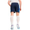 Spodenki Puma King Pro