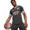 Koszulka Puma AC Milan 2024-2025 Trzecie