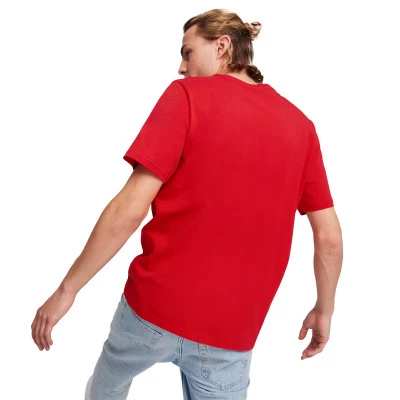 Koszulka AC Milan Fanswear 2024-2025