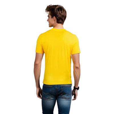 Koszulka Borussia Dortmund Fanswear 2024-2025