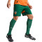 Spodenki Puma Strój trzeci Valencia CF 2024-2025