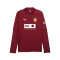 Bluza Puma Valencia CF Training 2024-2025