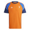 Koszulka adidas Juventus Trening 2024-2025