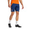 Spodenki adidas Juventus Training 2024-2025