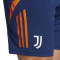 Spodenki adidas Juventus Training 2024-2025