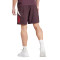 Spodenki adidas FC Bayern Training 2024-2025