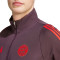 Dres adidas FC Bayern Training 2024-2025