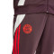 Dres adidas FC Bayern Training 2024-2025