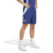 Spodenki adidas Arsenal FC Training 2024-2025