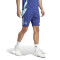 Spodenki adidas Arsenal FC Training 2024-2025