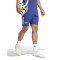Spodenki adidas Arsenal FC Training 2024-2025