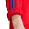 Bluza adidas Odzież kibica Arsenal FC 2024-2025