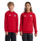 Bluza adidas FC Bayern Fanswear 2024-2025 Niño
