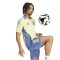 Koszulka adidas Ajax Training 2024-2025