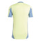 Koszulka adidas Ajax Training 2024-2025