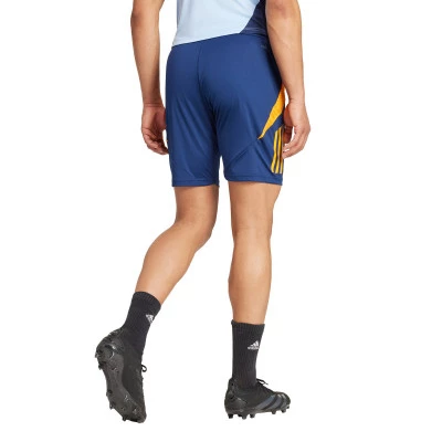 Spodenki Real Madrid Training 2024-2025