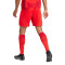Spodenki adidas FC Bayern Primera Equipación 2024-2025