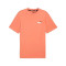 Koszulka Puma Essentials Small Logo