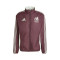 Kurtka adidas Mexico Pre-Match Copa América 2024